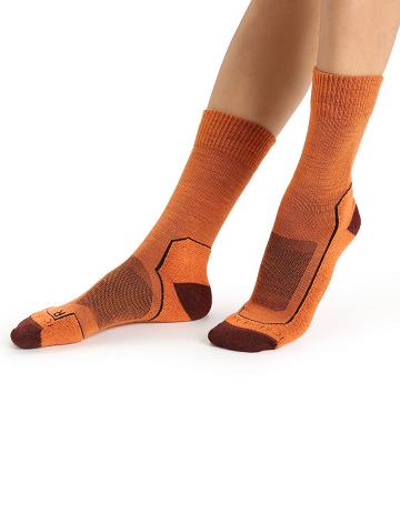 Flash / Espresso Women's Icebreaker Merino Hike+ Light Crew Socks | USA 1424CTVE